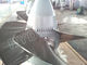 Turbina hidráulica de Kaplan de la turbina de reacción/turbina del agua de Kaplan con las cuchillas del corredor del acero inoxidable